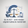 EU AI Act 2024/1689